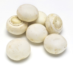 Setas de alta calidad fabricadas en China, setas blancas congeladas - Product Image 1