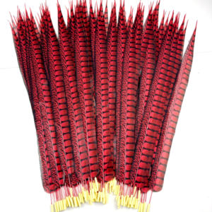 Buatan tangan dicelup wanita buatan Amherst Pheasant ekor bulu pola mentah alami untuk penggunaan dekoratif dalam kostum pesta karnaval - Product Image 6