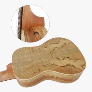 Ukelele de Concierto Aiersi de Arce Rizado de 24 Pulgadas, Hecho a Mano, Profesional, Instrumento de Cuerda Hawaiano, Logotipo Personalizado - Product Image 6