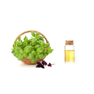 Традиционный травяной 10:1 и 20:1 концентрированный экстракт листьев базилика в порошке растительный экстракт в барабане и вакуумная упаковка - Product Image 6