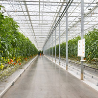 Serre préfabriquée multi-spans Skyplant Garden - Serre en plastique et en polycarbonate pour usage agricole industriel