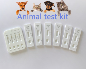 สุนัข anaplasma <span class=keywords><strong>antibody</strong></span> ชุดทดสอบอย่างรวดเร็วสำหรับตรวจหาแอนติบอดีในสัตว์เลี้ยงสุนัข anaplasma AB - Product Image 6