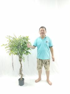 ต้นไม้ปลอมจำลองใบเล็กยาว130ซม. ทำจากพลาสติกและลวดเหล็ก - Product Image 4