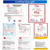 Maison conteneur pliable à double aile pour bord de piscine, 2, 3 ou 4 chambres, panneaux sandwich isolés, villa modulaire préfabriquée pour complexe hôtelier avec terrasse