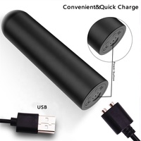 Mini Bullet Vibrator mit 10 Frequenzen Drahtlose Fernbedienung USB-Netzteil für Paar Massage oder Sexspielzeug Geschenk