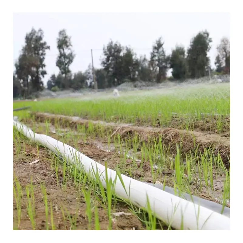 Tuyau plat d'irrigation Pe Lay pour l'irrigation agricole