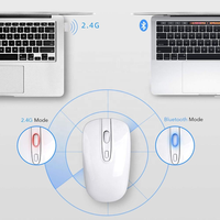 Souris sans fil 2.4G 2 modes 4D 1600DPI souris de jeu sans fil bon marché OEM souris BT de jeu sans fil filaire personnalisée