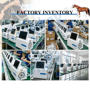 Machine de massage laser magnéto pour chevaux, excellent rapport qualité-prix, pour blessures sportives et douleurs chroniques, machine de massage PEMF pour chevaux à usage vétérinaire - Product Image 5