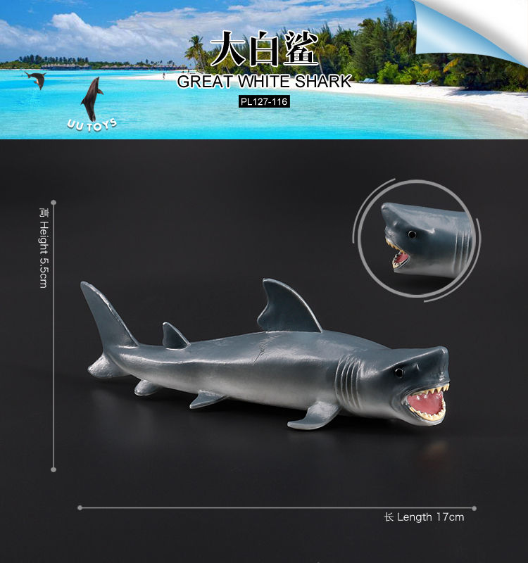 116 Grand requin blanc