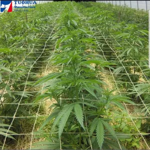 Sıcak satış 5x30 ft bitki kafes örgü polyester bitki scrog için kare örgü ile net büyümek