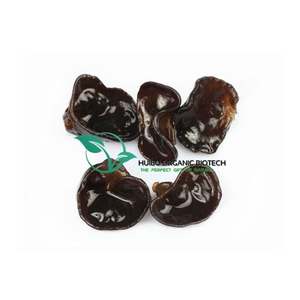 Органический порошок грибов устрицы, 100% чистота, натуральная добавка/экстракт плевротуса, полисахарид, бета-глюкан - Product Image 3