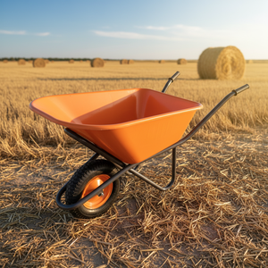 <span class=keywords><strong>Brouette</strong></span> de chantier en métal de 160 kg pour le marché russe, plateforme pour ciment, sable, seau en plastique - Product Image 1