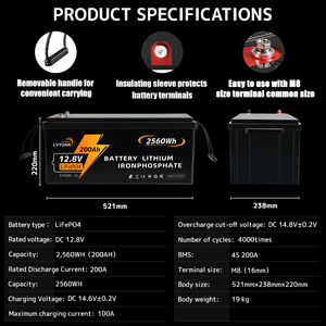 OEM Lifepo4 pil 12v güneş pili 200ah otomatik şarj edilebilir lityum iyon Lifepo4 piller - Product Image 6