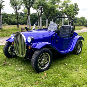 Mini Buggy Eléctrico Clásico, Construcción de Tubos de Acero de Lujo, Freno de Disco Hidráulico, Fabricado en China - Product Image 1