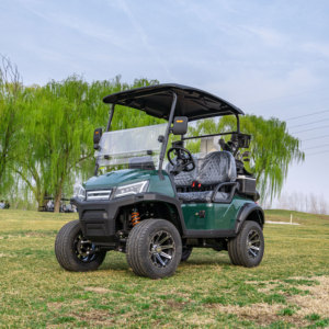 Produits les plus vendus : Chariot de golf biplace à batterie pour manoirs ruraux et centres de villégiature - Product Image 5