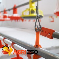 Système d'abreuvement automatique à tétines pour poulaillers avec régulateur doseur Dosatron et coupelle d'abreuvement pour poules pondeuses et reproductrices