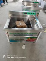 Multifunctionele Vortex Fruit- en Groentewasmachine van roestvrij staal, sterilisatie, desinfectie, eenvoudige bediening, sla, uien
