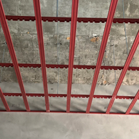Estructura de Acero Galvanizado para Techos, Diseño Moderno, Ligera, Fácil Instalación, Perfiles Australianos