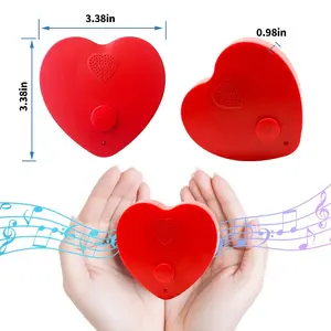 Caixa de som personalizada em forma de coração, módulo de som de 5 minutos, gravador de voz, caixa de som para brinquedos de pelúcia, bichos de pelúcia, bonecas e crianças
