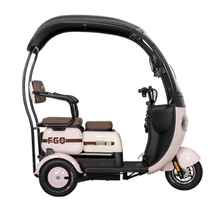Tricycle Électrique Adulte FGQ 60V 650W à Châssis Ouvert, 3 Roues, 2 Places, Style Urbain, Loisirs et Shopping Familial - Product Image 6