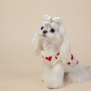 <span class=keywords><strong>Pull</strong></span> en tricot blanc crème pour chien avec motif cœur rouge, doux et chaud, vêtements pour animaux <span class=keywords><strong>de</strong></span> compagnie pour petits chiens - Product Image 4