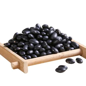 Export black kidney beans with factory price