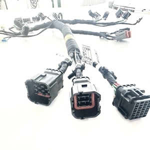 Doosan Ekskavatör Müşterileri için Özelleştirilmiş Kablo Demeti - Product Image 2