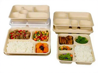 Contenants alimentaires jetables biodégradables en résidus de canne à sucre naturels modernes avec couvercle, capacité 1250 ml, ensemble de vaisselle à usage unique