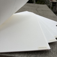 Carta Assorbente Forest Deer ad Alta Capacità, Spessore 1,6 mm, per Prodotti Deodoranti per Ambienti con Fragranza a Lunga Durata