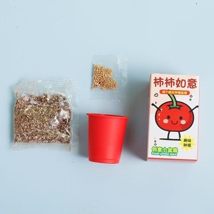 Mini Piante in Vaso Fai-da-Te, Articoli Artigianali per Attività Scolastiche e Regali Festivi per Bambini, Micro Piante Verdi - Product Image 4
