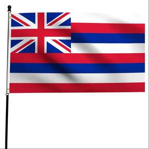 Drapeau Guam 3x5 pieds Polyester Drapeaux nationaux boliviens Polyester avec œillets <span class=keywords><strong>en</strong></span> laiton 3x5 pieds - Product Image 3