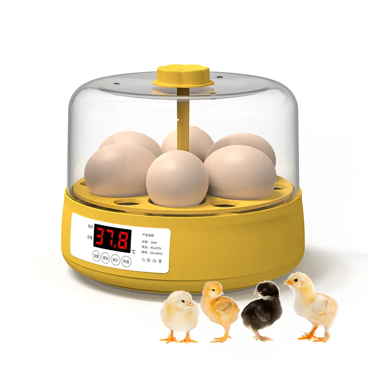 家庭用6鶏の卵容量自動ミニ卵インキュベーター販売