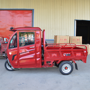 Tricycle à moteur essence essence 125 CC 150 CC fermé ou ouvert <span class=keywords><strong>le</strong></span> <span class=keywords><strong>moins</strong></span> <span class=keywords><strong>cher</strong></span> - Product Image 3