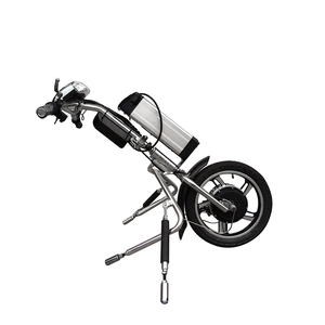 Moteur 36v 200 <span class=keywords><strong>pour</strong></span> <span class=keywords><strong>fauteuil</strong></span> <span class=keywords><strong>roulant</strong></span>, <span class=keywords><strong>pour</strong></span> vélo électrique, haute qualité, livraison gratuite - Product Image 3
