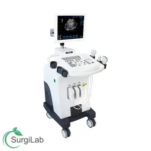 Medische Menselijk B/W Digitale Persoonlijke Ultrasound Scanner Machine Voor Zwangerschap