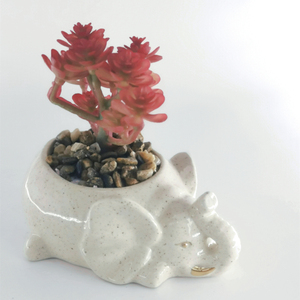 Venta al por mayor 3D único <span class=keywords><strong>gatito</strong></span> elefante flor suculenta <span class=keywords><strong>maceta</strong></span> encantadora Instagram cerámica arcilla cerámica <span class=keywords><strong>maceta</strong></span> gran oferta macetas <span class=keywords><strong>maceta</strong></span> - Product Image 3