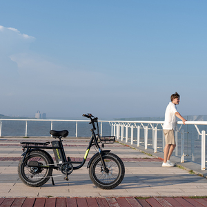 Vélo électrique KOOLUX X7, cyclomoteur de route avec pédales, moteur à moyeu arrière, usage urbain, pneus larges 20X4.00, 25 km/h - Product Image 6