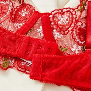 Lencería: Popular conjunto de lencería sexy 2026 de Europa y América, con malla, bordado en forma de corazón, puro - Product Image 3