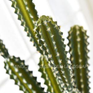 Tanaman pot buatan kaktus, hiasan rumah dan kantor, tanaman dalam pot buatan pir berduri, kaktus palsu mirip asli - Product Image 4