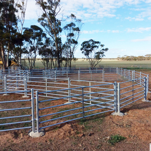 Gia súc rào cản gia súc gian hàng rào gia súc Bảng điều khiển gia súc/ngựa/Cừu sân hàng rào nhiệm vụ nặng nề corral hàng rào tấm bò buồng - Product Image 4