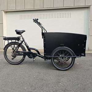 Vélo cargo électrique à 3 roues, moteur central 36V 250W, style Bakfiets familial, cadre en aluminium, <span class=keywords><strong>Nexus</strong></span> <span class=keywords><strong>8</strong></span> vitesses, freins à disque hydrauliques - Product Image 1