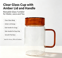 Bouilloire à eau en verre borosilicate haut de gamme Wuso, fabriquée à la main, avec couvercle et poignée ambrés, grande capacité de 450 ml, résistante à la chaleur, écologique, classique