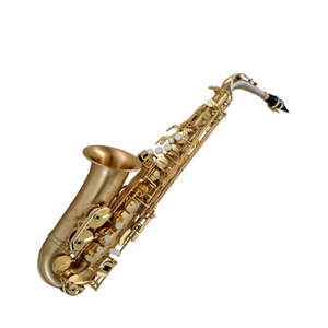 Sassofono Contralto P. Mauriat OEM di Alta Qualità in Ottone con Laccatura Dorata, Caratteristiche Regolabili ed Elegante Tonalità Eb <span class=keywords><strong>Le</strong></span> Bravo 200 Alto - Product Image 1