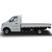 Nouveau Gonow camionnette électrique 220KM Pure Battery Cargo Truck Camion à châssis et cabine personnalisé