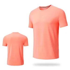 Standard Fit Dryfit Athletic Running Sports T Shirts Wear Compression Gym Men's Muscle Fitness Clothes Polyester Fiber T Shirts