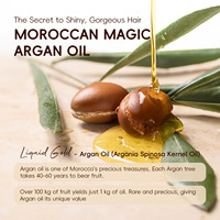 Sampo Rambut Profesional Minyak Argan Anti Rontok, Membersihkan Secara Mendalam, Mengontrol Minyak, Berbusa Penuh, Melembapkan, Label Pribadi