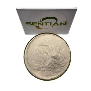 Bột <span class=keywords><strong>protein</strong></span> chiết xuất từ gạo lứt, <span class=keywords><strong>protein</strong></span> gạo kết cấu, <span class=keywords><strong>protein</strong></span> gạo thủy phân - Product Image 4