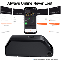 Batería Inteligente con Rastreo GPS de 48V 30Ah de Litio, BMS de 50A, Antirrobo, para Bicicletas Eléctricas, para Flotas de Reparto, Envío Global, Fábrica China