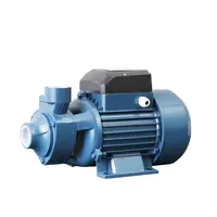 Electric Water Pump Motor for Home and Garden, 1 inch