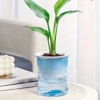 Pot de fleurs hydroponique paresseux à absorption automatique d'eau, pot transparent à double couche en plastique, auto-arrosant, pour bureau